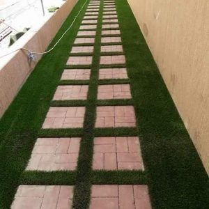 FB_IMG_1533404446580