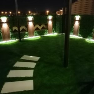 IMG_20210108_202026160549294180539